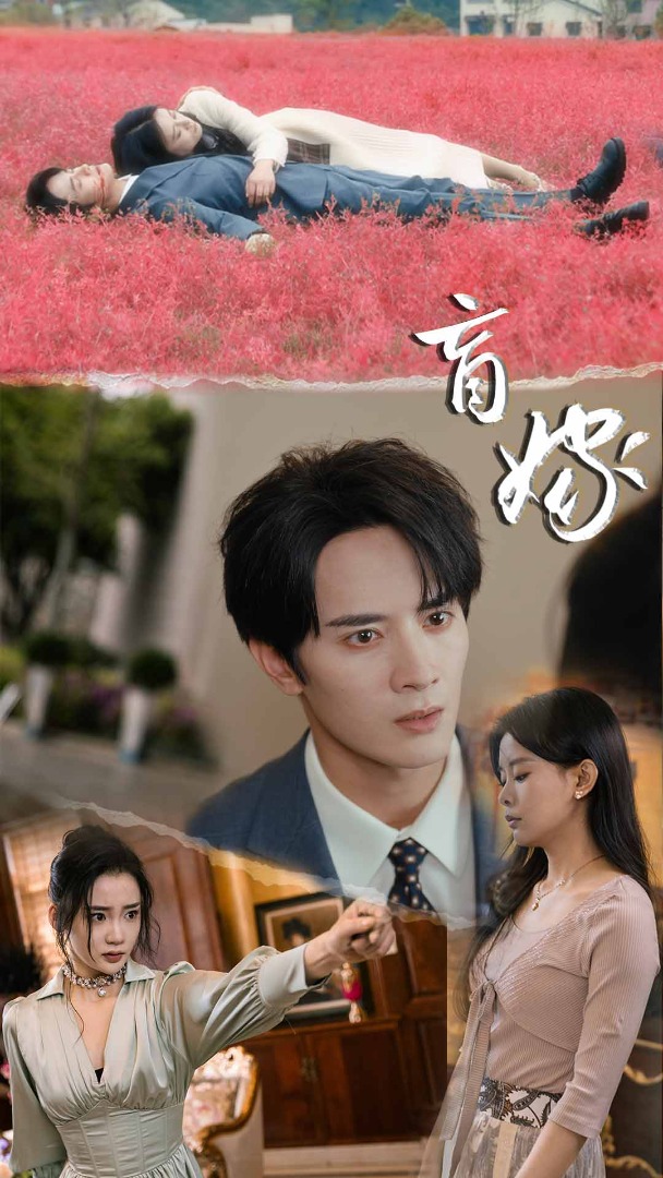 盲嫁全集(大結(jié)局)