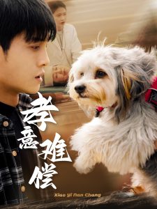 孝意難償全集(大結局)