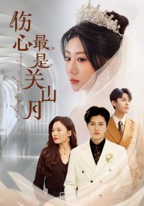 傷心最是關山月(全集)