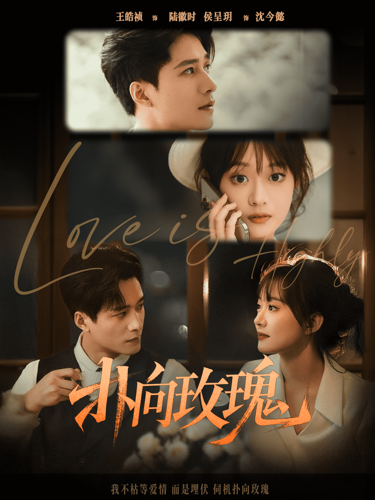 撲向玫瑰(全集)