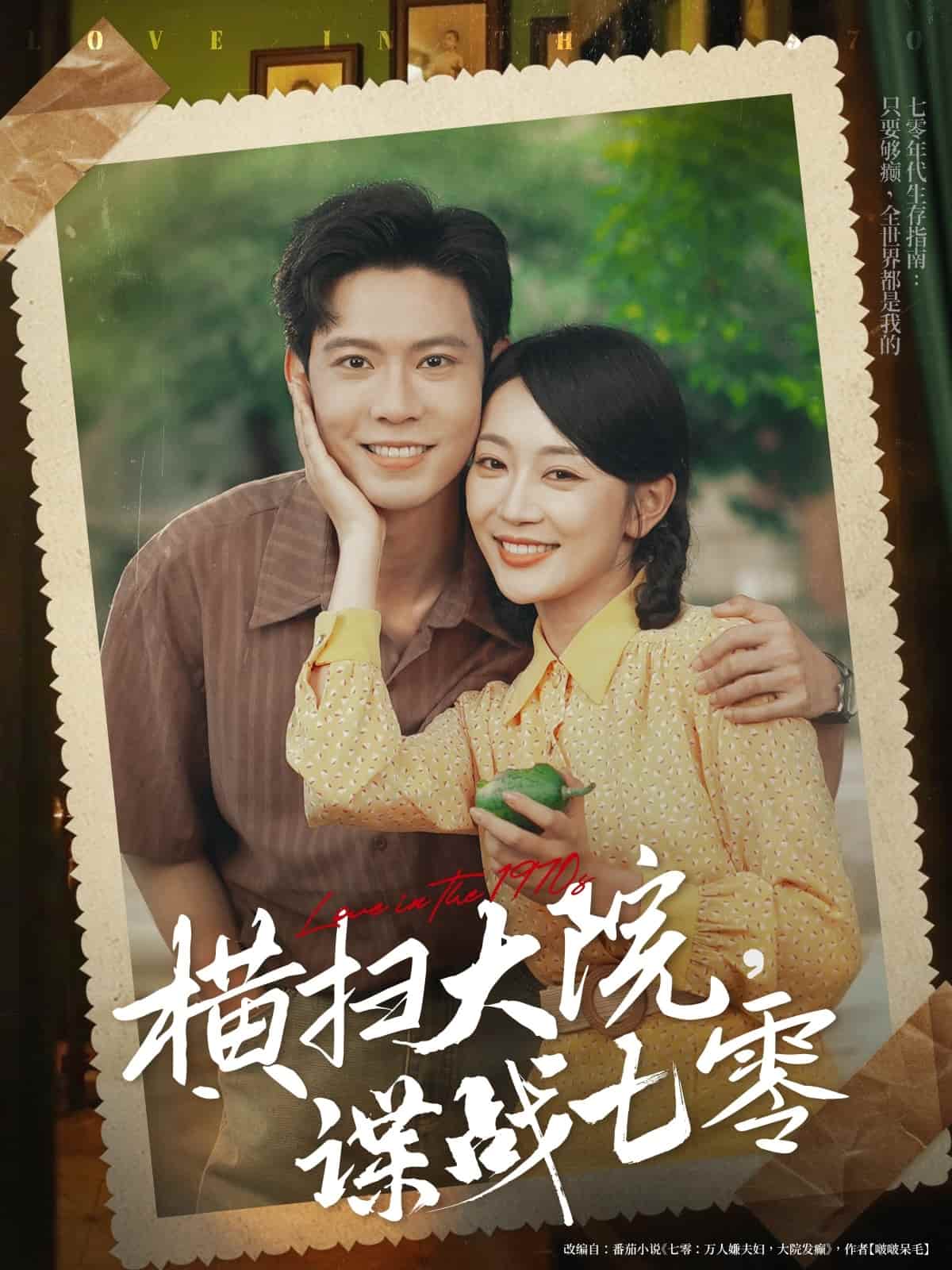 橫掃大院諜戰七零(全集)