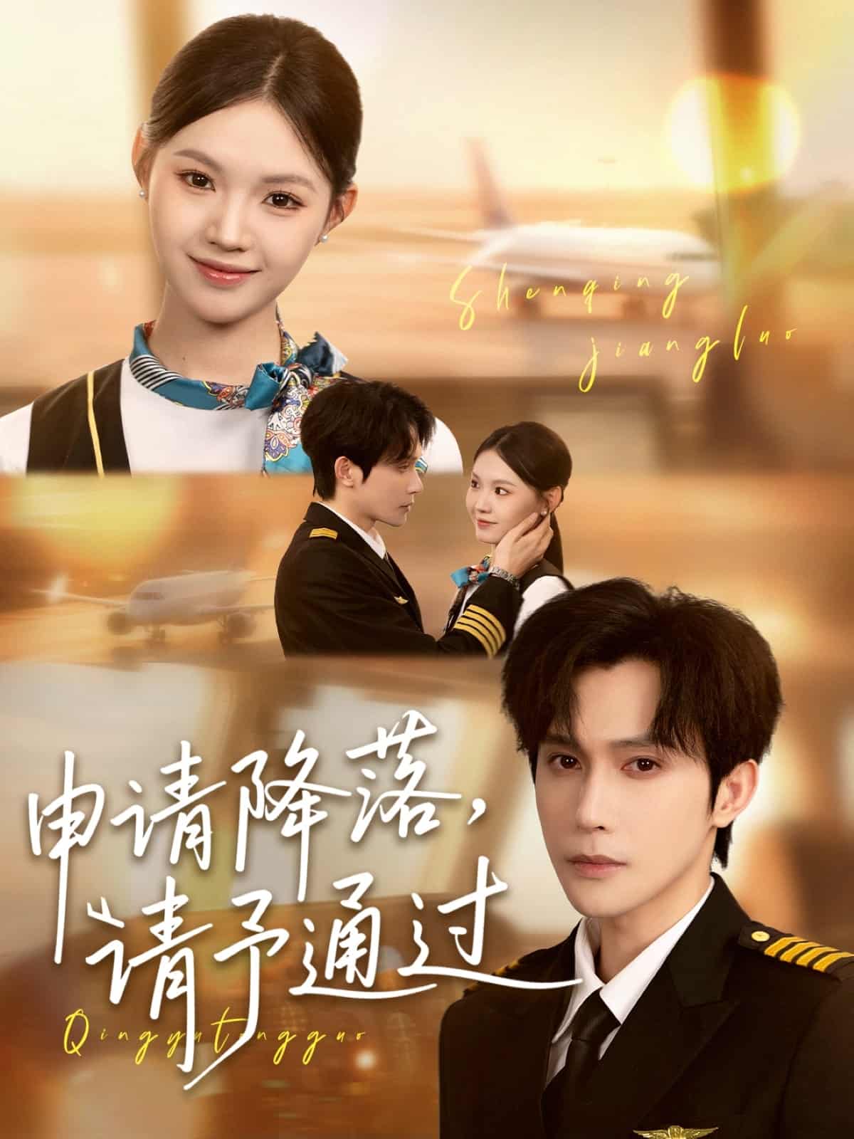 申請降落請予通過(全集)