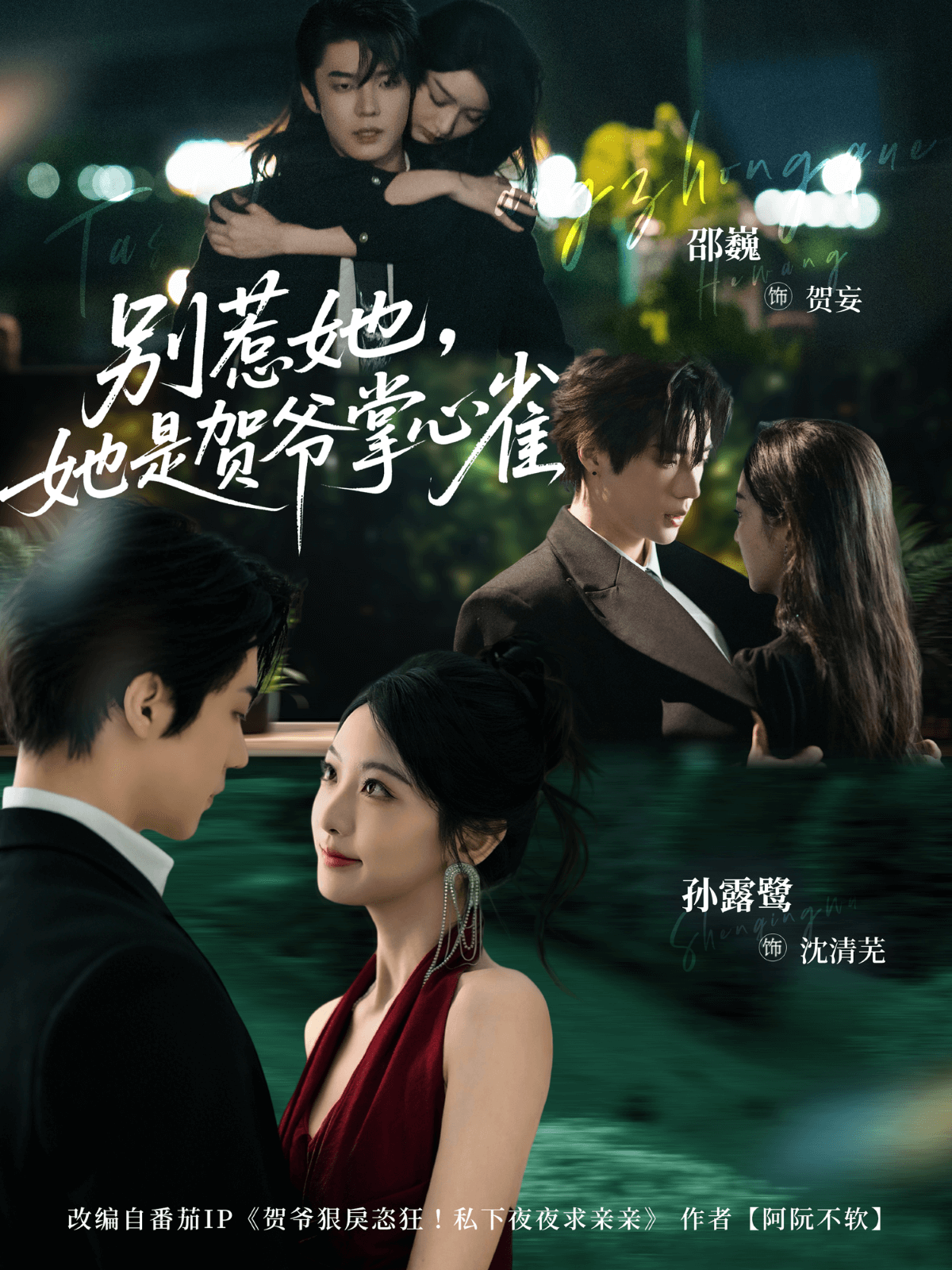 別惹她，她是賀爺掌心雀(全集)